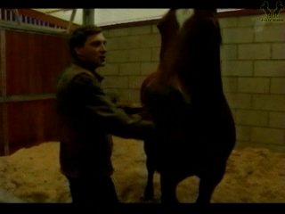 video лошадиная энциклопедия александр невзоров 2004 серия 6 sex