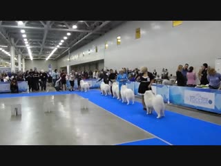 video 以前做过小姐从良后嫁人出轨美少妇骚的让人受不了叫声太刺激了被干的淫叫说好爽好大好硬好厉害对白淫荡 sam 0062 sex
