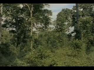 video ад канибалов 2 умберто ленци италия sex