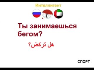video ты занимаешься бегом фразы на арабском языке изучение арабского языка переводы на арабский язык sex