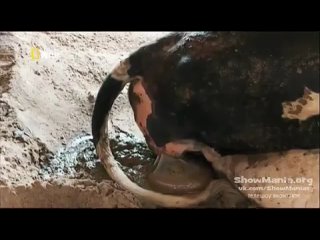 video невероятный доктор пол один день без пациентов sex
