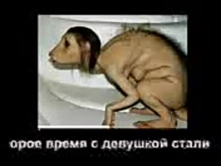 video девушка порвала корана аллах наказал ее sex