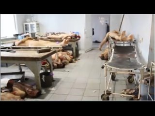 video донецкий морг боевики заняли свои позиции sex