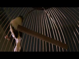 video анджелина джоли и антонио бандерас голые в ванной sex