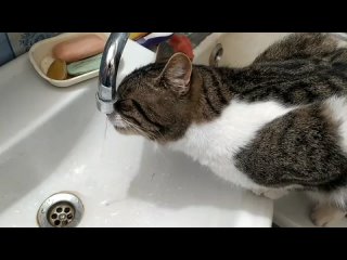 video 在墾丁民宿的落地窗前無套打砲被鄰居發現 vid 20211028 061119 mp4 sex