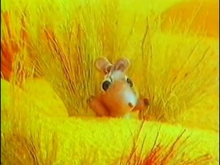 video ловушка для бамбра союзмультфильм 1991 г sex