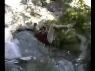 video vlad shibanov sex