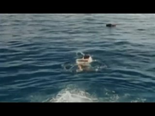 video однажды на море amare короткометражка 2008 sex
