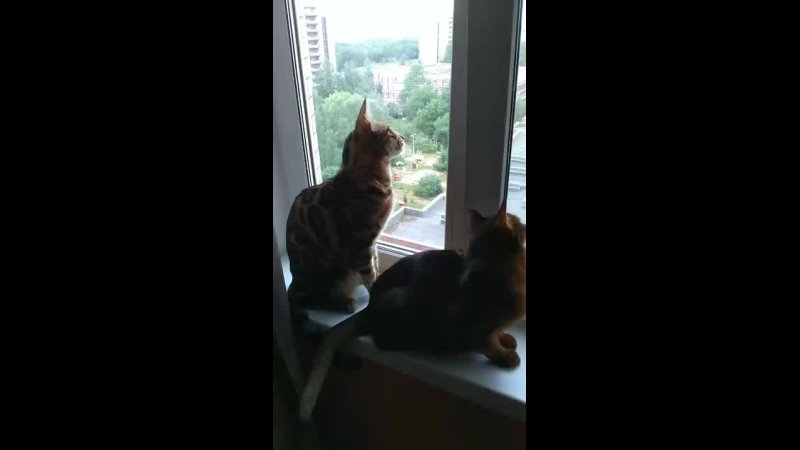 video 角色扮演剧情演绎母子乱伦妈妈午睡黑丝袜蕾 vid 20210626 092921 mp4 sex