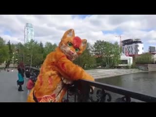 video porn amv dj bobo amp sandra secrets of love sex