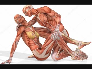 video интимные отношения брак и семья семейные проблемы и развод факторы развода sex