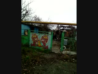 video 却填写了一个关于身体敏感度的奇怪表格 filestorage0403 0201dcimcamera sex