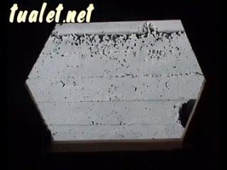 video женский туалет на пляже sex