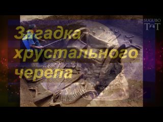 video контакт с пришельцами всё ближе 1080p hd mp4 sex