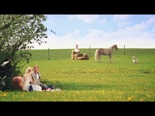 video лошадь готова на всё ради печеньки оригинальная реклама sex