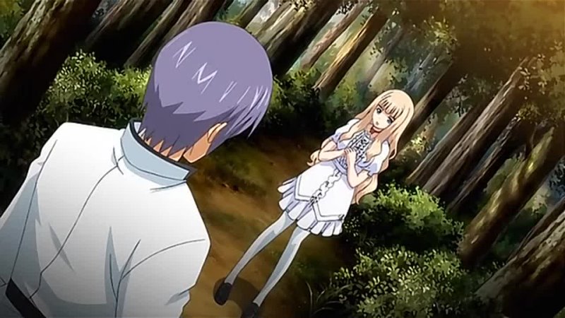 video девочки для развлечений otome juurin yuugi maiden infringement play 2 sex