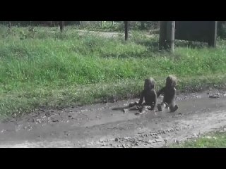 video первый контакт с пришельцами sex