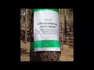 video ролик пропагандирующий бережное отношение к природе sex
