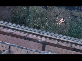 video голая альбина джанабаева порно без цензуры 18 эротика интим секс грудь жопа киска минет сосёт дрочит голые натуралы sex