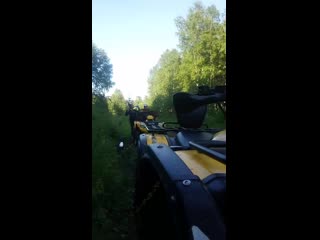 video her mov 0199 000 mp4 sex