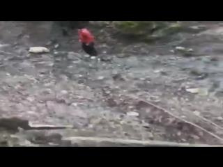 video hard porn descent from dorin sex