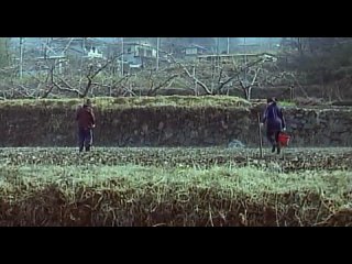 video a lonely cow weeps at dawn одинокая корова плачет на рассвете 2003 sex