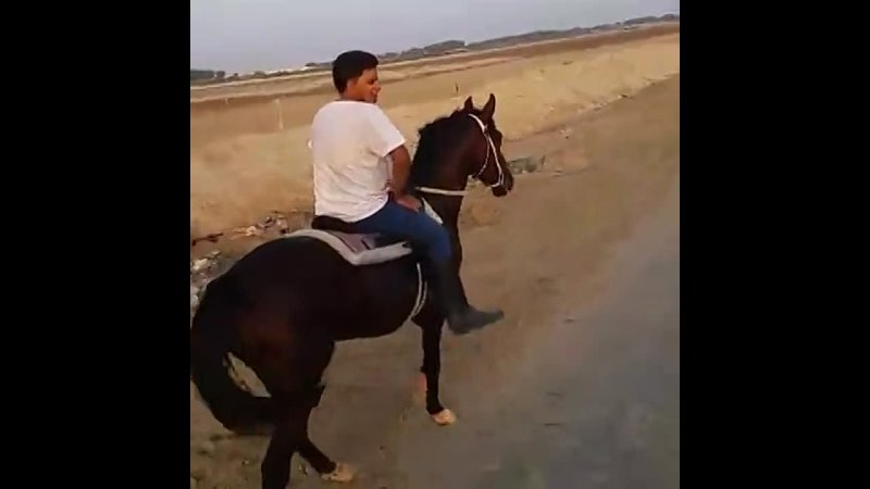video dadyy vid 25260708 021212 sex