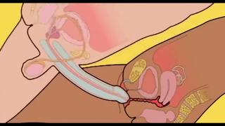 video как правильно заниматься сексом обучалка от костяна sex