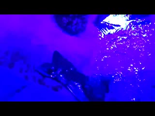 video 舔逼口交搞硬大力抽插啪啪呻吟娇喘诱人 filestorage0403 0201dcim100andromov 0099 mp4 sex