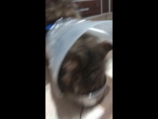 video descobriu vid 20180205 010414 mp4 sex