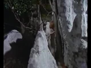 video папесса одержимая бесами la papesse a woman possessed 1975 г мистика ужасы эротика sex