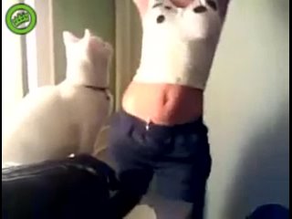 video смешное видео сука пизец кот орет коте телка чика детка секси sex