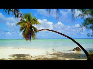 video французская полинезия остров bora bora sex
