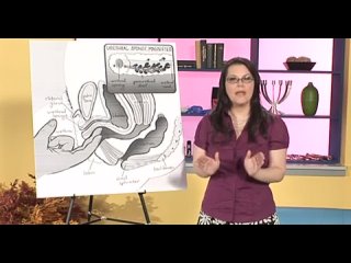 video руководство по поиску точки джи expert guide to the g spot 2007 sex
