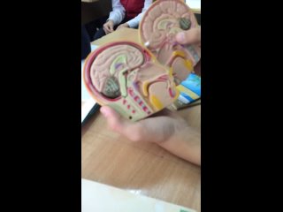 video баука делает апирацию биология sex