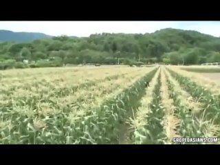 video молодые азиаток sex