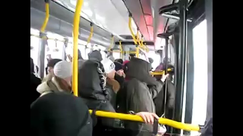video девченки сняли на видео эксгибициониста в автобусе sex