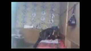 video чеченский дед трахает молодую чеченку sex