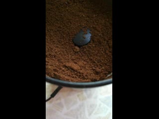 video 最新流出果哥精品大尺度白金版视频巨乳模特被潜沙发跪着给导演吃屌 vid 20201104 093733 878 mp4 sex