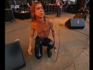 video iggy pop loreley festival st goarshausen germany 22 june 1996 sex