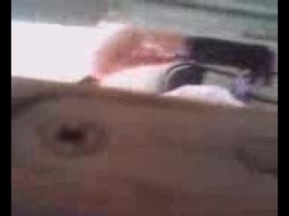 video медосмотр парня в военкомате sex