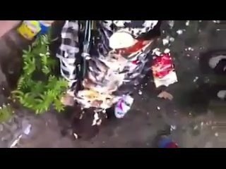 video пьяная баба пиде не хозяйка очень пьяная молодые sex