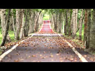 video black hole sun many rivers to cross relaxing blues rock music 2018 audioph 720 sex