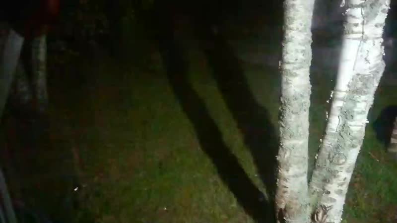 video descobriu mov 0107 mp4 sex