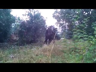 video ополченцы возле аэропорта донецка sex