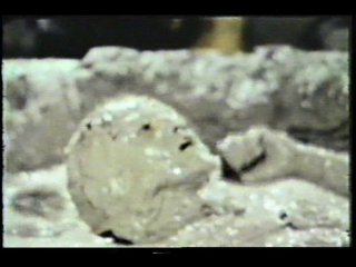 video jaberwalk mud wrestling sex