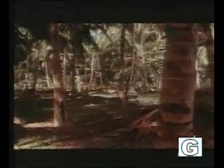 video голые зеуди арая и беба лончар naked zeudi araya beba loncar sex