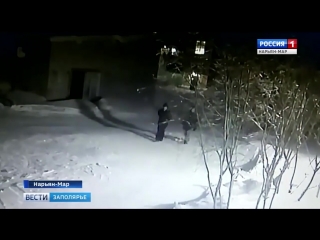 video россия 1 нарьян мар hd молодые вандалы неизвестные вырвали кнопки дл sex