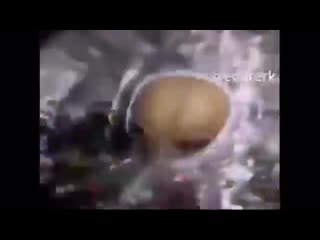 video инопланетяне жестко флексят смотреть всем sex