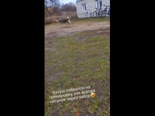 video xxc vid 191680930 071011 272 mp4 sex